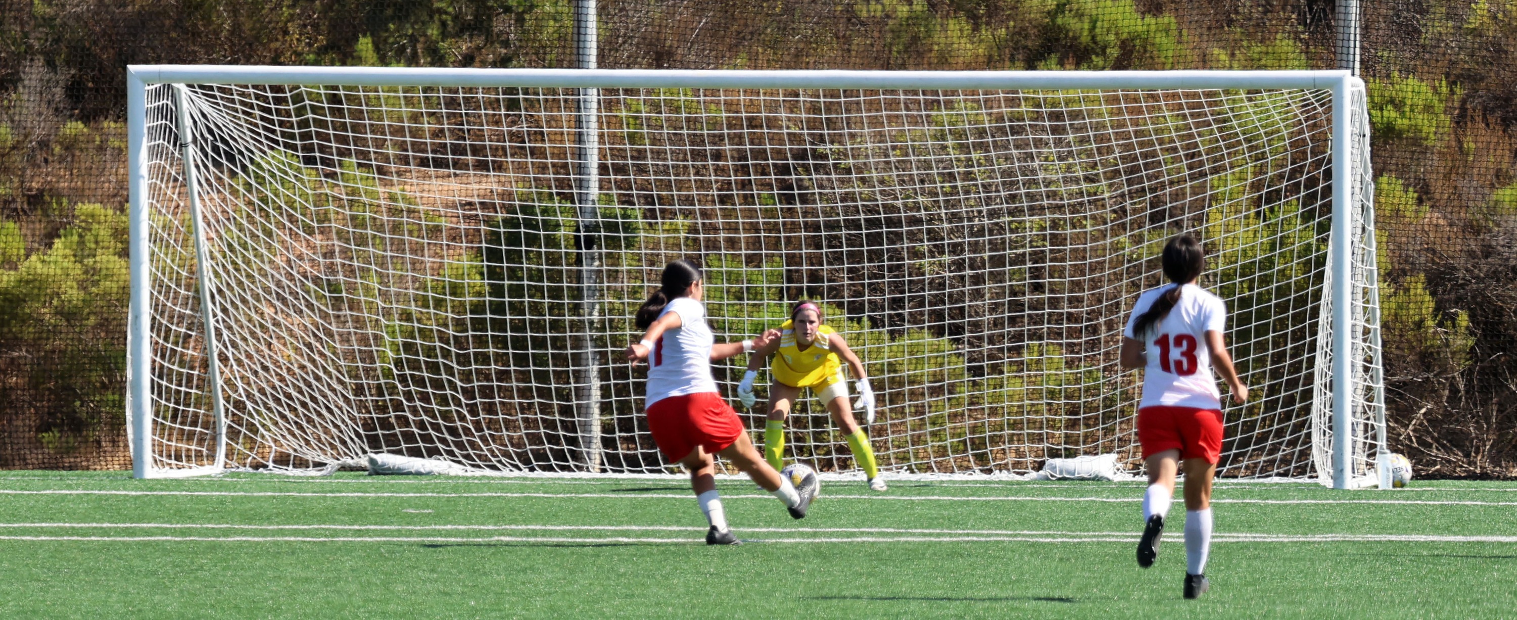 Gianna Belasco recorded 10 saves. Photo by Hugh Cox.