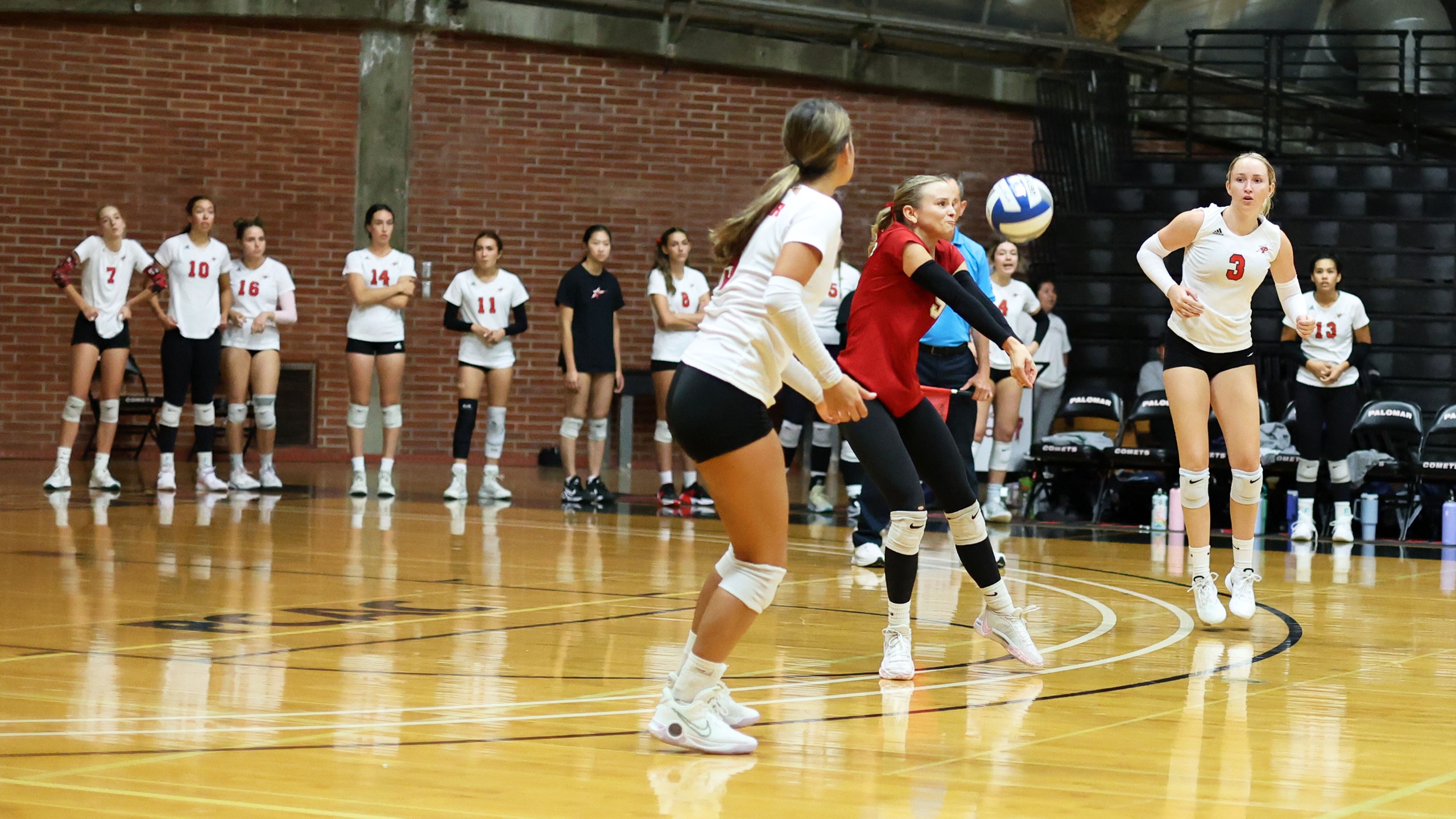 Cadence Young had 23 digs on the night. Photo by Hugh Cox.