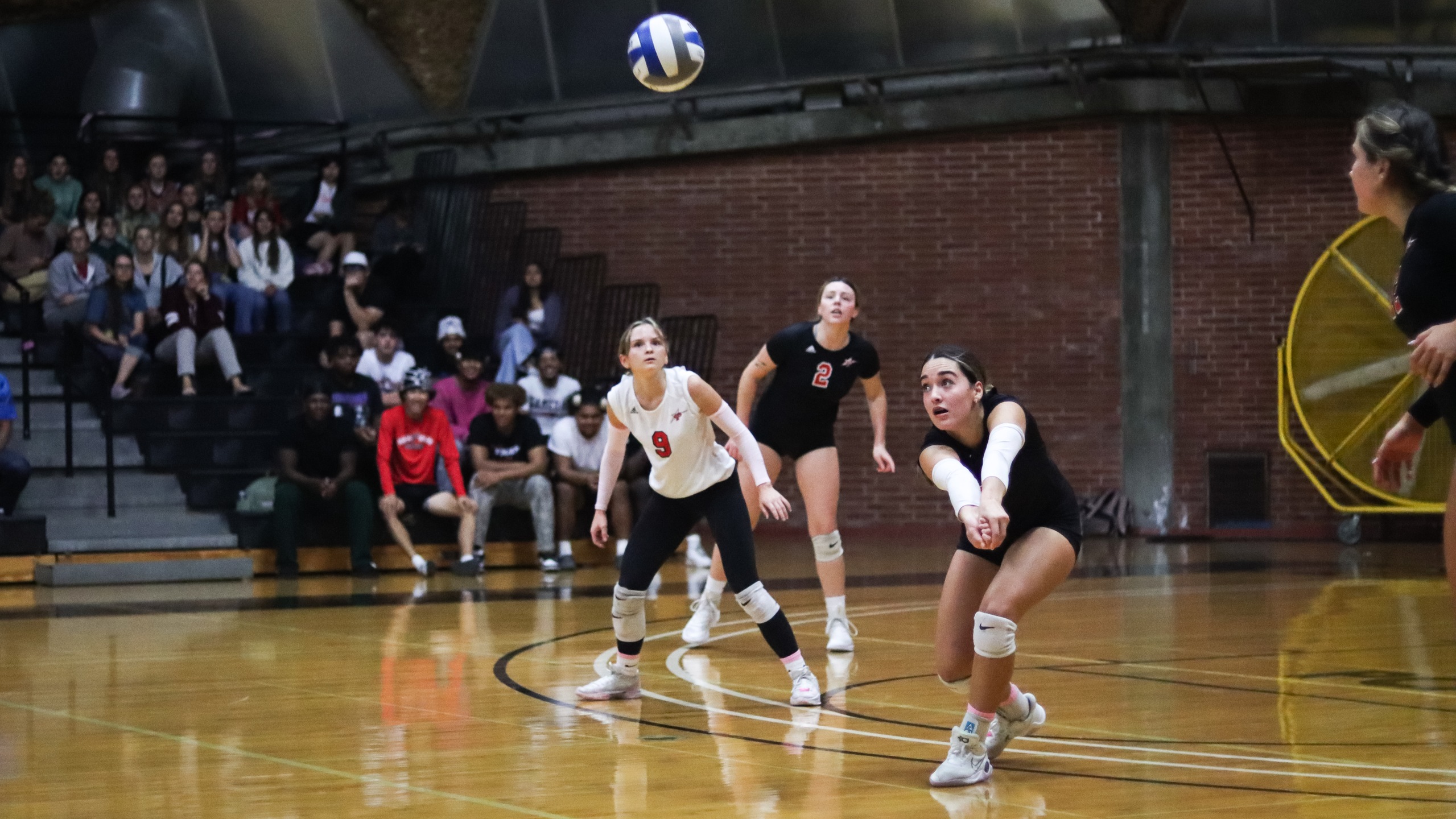 Janell Spires had 20 kills and 18 digs. Photo by Cara Heise.